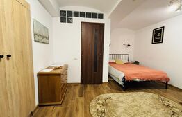 Apartament cu 1 cameră, 30 mp, zona Centrală
