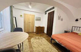 Apartament cu 1 cameră, 30 mp, zona Centrală