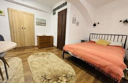 Apartament cu 1 cameră, 30 mp, zona Centrală