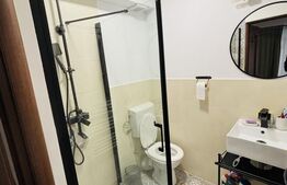 Apartament cu 1 cameră, 30 mp, zona Centrală