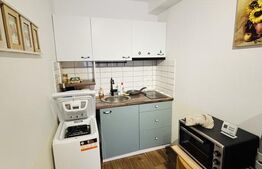 Apartament cu 1 cameră, 30 mp, zona Centrală