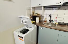 Apartament cu 1 cameră, 30 mp, zona Centrală