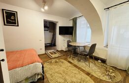 Apartament cu 1 cameră, 30 mp, zona Centrală