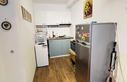 Apartament cu 1 cameră, 30 mp, zona Centrală