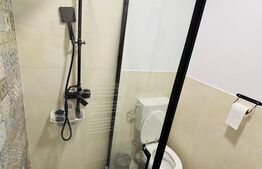 Apartament cu 1 cameră, 30 mp, zona Centrală