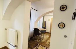 Apartament cu 1 cameră, 30 mp, zona Centrală