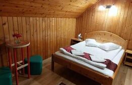 Duplex de închiriat, 270 mp, zona Centrul Istoric