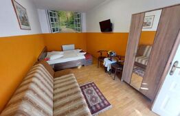 Duplex de închiriat, 270 mp, zona Centrul Istoric