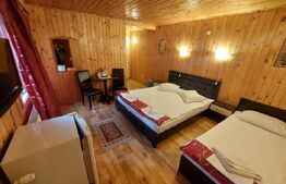 Duplex de închiriat, 270 mp, zona Centrul Istoric