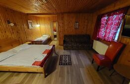 Duplex de închiriat, 270 mp, zona Centrul Istoric