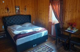 Vila cu 9 camere 