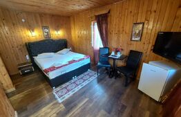 Duplex de închiriat, 270 mp, zona Centrul Istoric