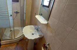 Duplex de închiriat, 270 mp, zona Centrul Istoric