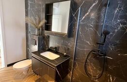 Apartament cu 2 camere, 55 mp, pet friendly, zona Sesul de Sus