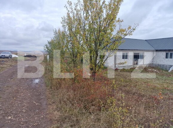 Casa de vânzare 4 camere Mociu - 209346CV | BLITZ Cluj-Napoca | Poza15
