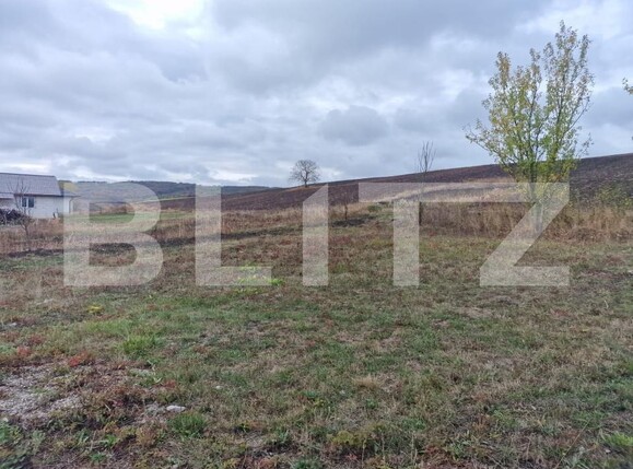 Casa de vânzare 4 camere Mociu - 209346CV | BLITZ Cluj-Napoca | Poza12