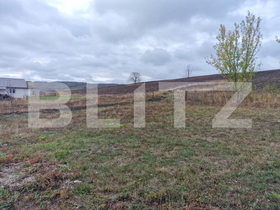 Casa de vânzare 4 camere Mociu - 209346CV | BLITZ Cluj-Napoca | Poza12