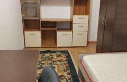 Apartament de inchiriat cu 3 camere, 46 mp, zona Piata Flora