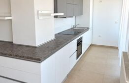 Penthouse 2 nivele, 157 mp, terase 120 mp, zona Buna Ziua