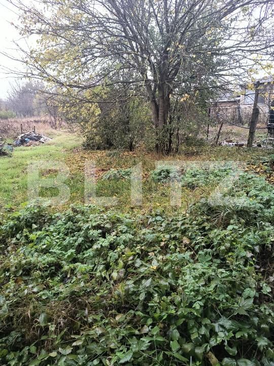 Casa de vânzare 3 camere Mica - 209426CV | BLITZ Cluj-Napoca | Poza2