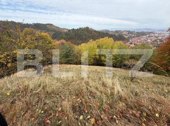 Teren de vânzare Schei - 209447TV | BLITZ Brașov | Poza3