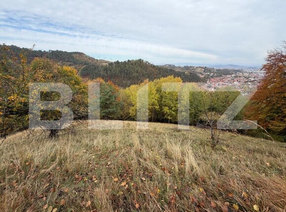 Teren de vânzare Schei - 209447TV | BLITZ Brașov | Poza2