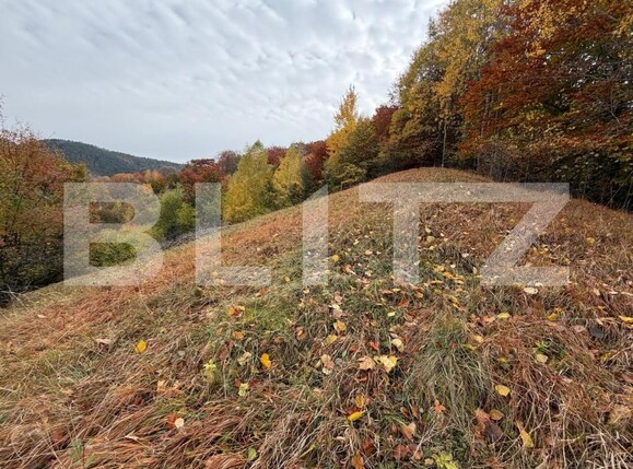 Teren de vânzare Schei - 209447TV | BLITZ Brașov | Poza4