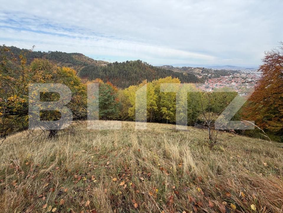 Teren de vânzare Schei - 209447TV | BLITZ Brașov | Poza2