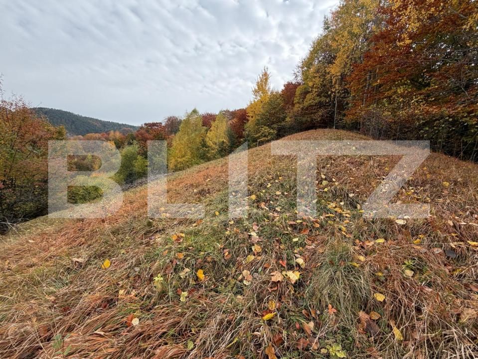 Teren de vânzare Schei - 209447TV | BLITZ Brașov | Poza4