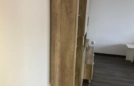 Apartament zona Sesului 