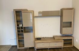 Apartament 2 camere, 55 mp, zona Sesului 