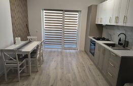 Apartament 2 camere, 50 mp, loc de parcare ,zona Porii