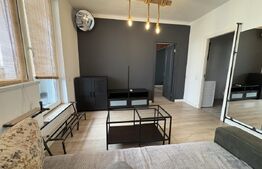 Apartament 2 camere, pet friendly, zona Iris