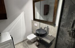 Apartament 2 camere, pet friendly, zona Iris