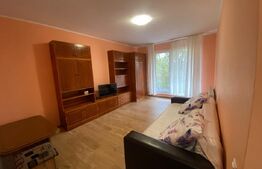 Apartament 1 camera ,zona Tauti