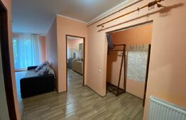 Apartament 1 camera ,zona Tauti