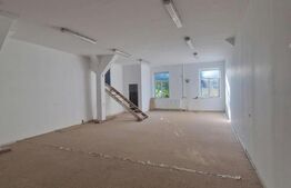 Spațiu de cazare, 239 mp, zona Centrală - Hălchiu