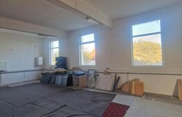 Hală de închiriat, 370 mp, zona Centrală - Hălchiu