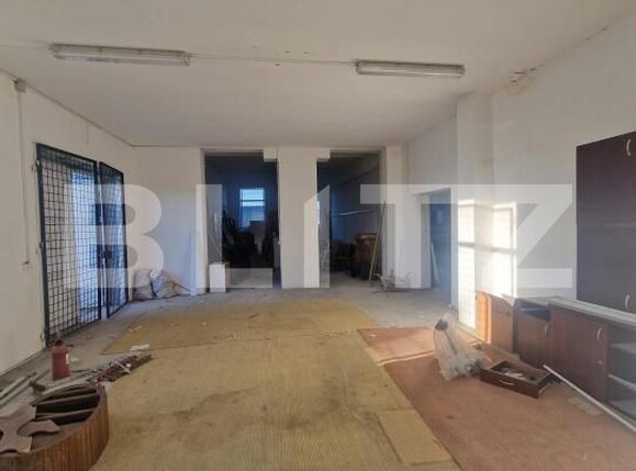 Spațiu industrial de închiriat Hălchiu - 209514SII | BLITZ Brașov | Poza1