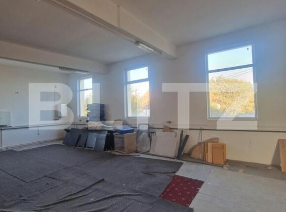Spațiu industrial de închiriat Hălchiu - 209514SII | BLITZ Brașov | Poza5
