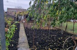 Casa 3 camere,curte si gradina