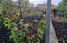 Casa 3 camere,curte si gradina