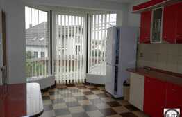 200 mp spatiu mixt: birouri+ locuinta protocol.