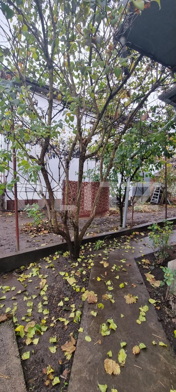 Casa de vânzare 3 camere Câmpia Turzii - 209594CV | BLITZ Cluj-Napoca | Poza2