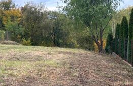Teren de vanzare, 816 mp, zona Făget 