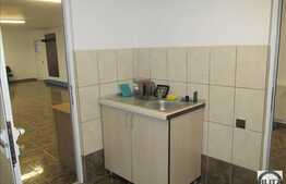 Spatiu birouri, 120 mp utili, zona strazii Plevnei!