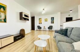 Apartament 2 camere, pet friendly, zona Centrala