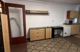 BLITZ | Garsonieră mobilată de închiriat 