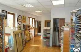 Cladire Nou Construita. Functionalitate: ( BIROURI , CLINICA, PENSIUNE, CAMIN )