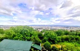 Casă individuală, 137 mp, teren 786 mp, zona Dambul Rotund